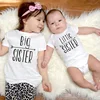 Big Sister Little Sister Siblings Matching Shirts Cartoon Dinosaur Tops Big Sis Lil Sis Short Sleeve Tops Tees Sibling Outfits 2