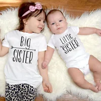 Big Sister Little Sister Siblings Matching Shirts Cartoon Dinosaur Tops Big Sis Lil Sis Short Sleeve Tops Tees Sibling Outfits 2