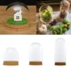 Home Decor Vases Glass Flower Display Cloche Bell Jar Dome Immortal Preservation Wooden Base Everlasting Flower Glass Cover NEW 5