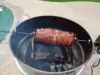 only fire Stainless Steel Multi-purpose Rotisserie and Pizza Combo Kit for Weber 22-Inch Kettle Charcoal Grills - Include Pizza 6
