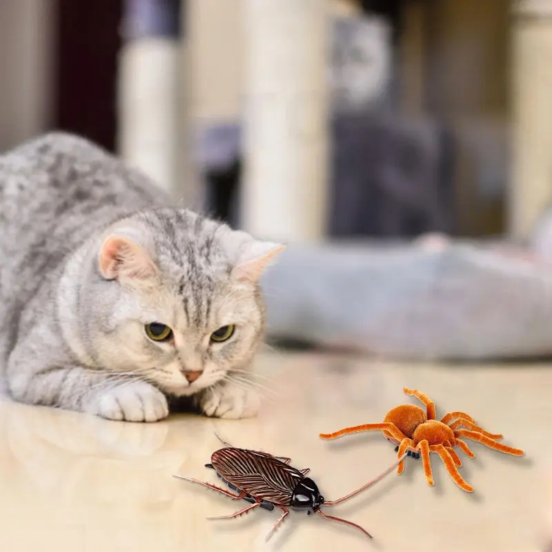 Simulation Scary Insect Animal Toy Model April Fools Day Spoof Prank Insect Electric Cockroach Mouse Spider Dragonfly Toy
