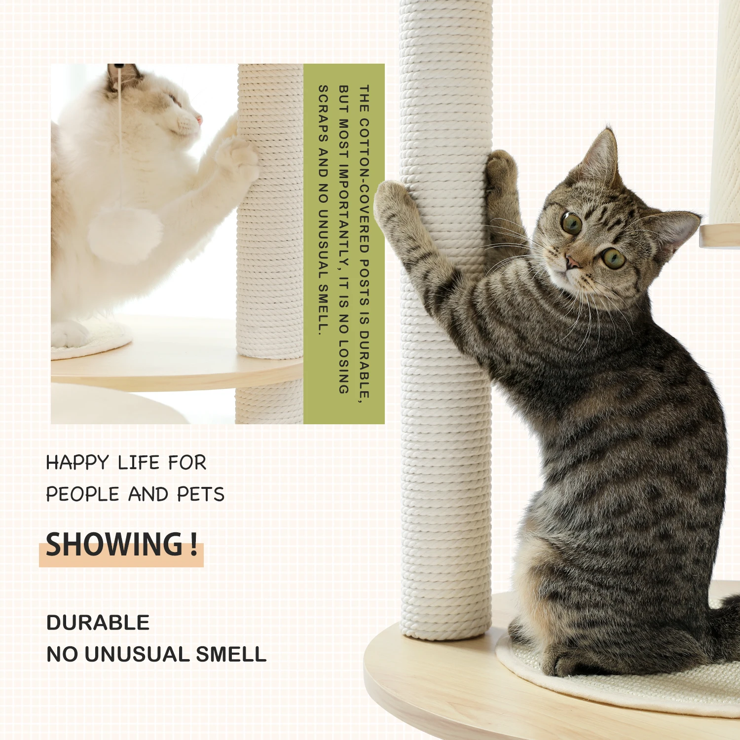 S2c4fd6c459b94c54b2d5ea4faea0a927B