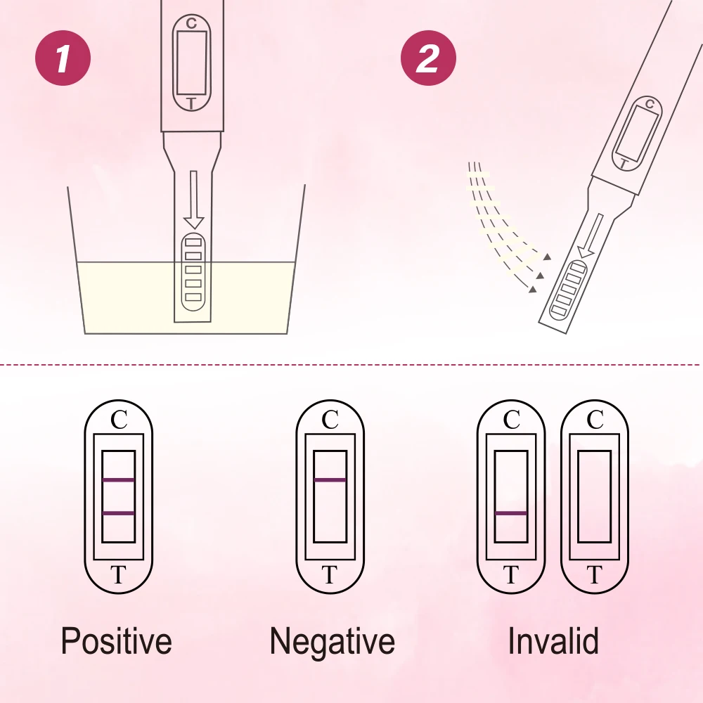 First Response Early Result Pregnancy Test 2 Count For Fertility Women Over 99% Accurate and Reliable Results pregnancy test pregnancy test strips