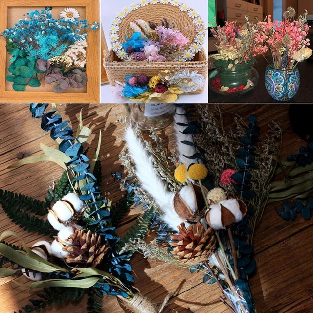 Colorful Real Dried Flower Plant For Making Aromatherapy Candles