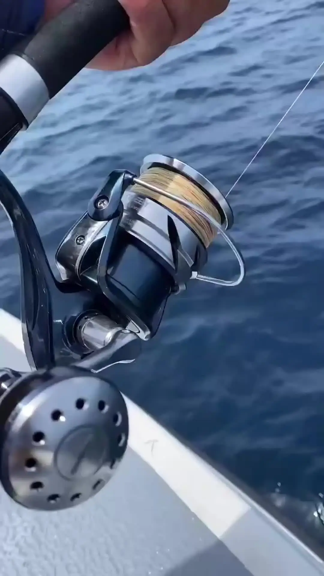 SEASIR スピニングフィッシングリール2000-6000: 1最大出力,15kg/33lb