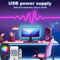 5V RGB Neon Strip Light 1M 2M 3M 5M USB Waterproof Flexible Ribbon Tape Neon Lights With Bluetooth Remote Control For Home Decor 2