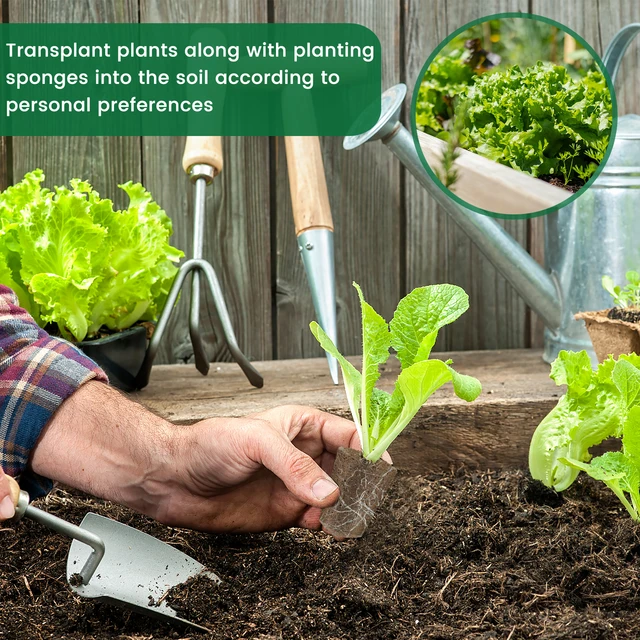 Spugne Idroponiche 200 Pezzi - 25x25x25 Mm - Per Coltivazione Piante - Foto 5