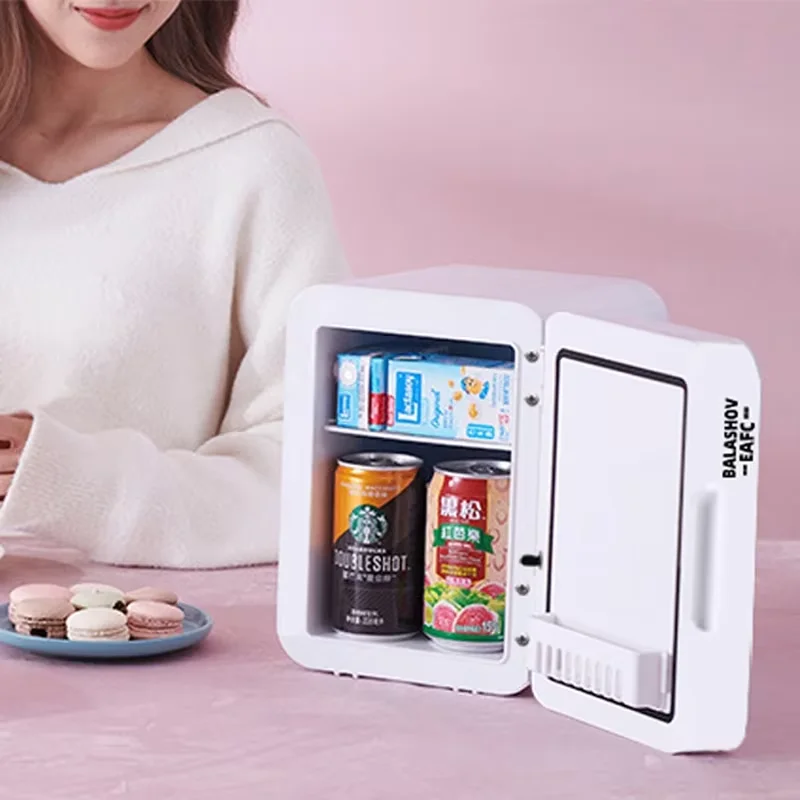 4L Mini Makeup Fridge WIth LED Light Mirror Portable Cosmetic Storage Refrigerator Keep fresh Cooler for Home Car Dual Use 5