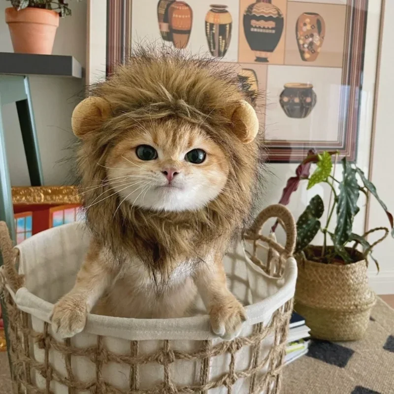 Cute Lion Mane Cat Wig Pet Small Dog Cats Costume Lion Mane Wig Cap Hat For Cat Dogs Fancy Costume Cosplay Toy Pet Accessory pet hat pet wig
