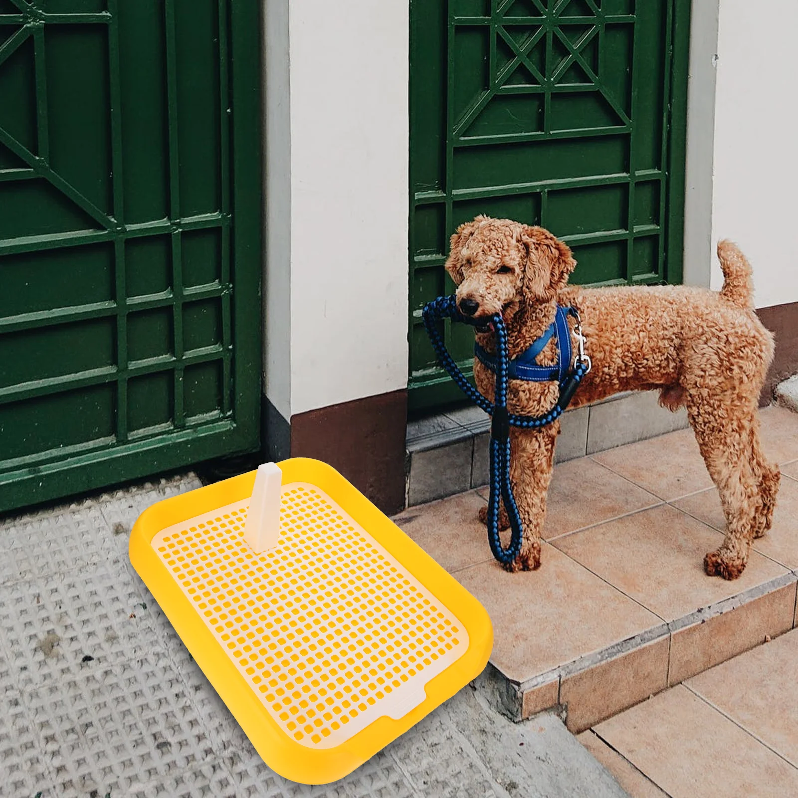 Dog Toilet Dog Toilet Anti-Slide Puppy Potty Tray Cat Pet Training Toilet For Small Dogs Cats Litter Box Indoor Potty Tray Training Pads
