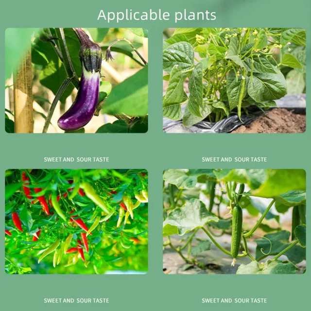 Növénytámogató Klipek A Kerti Paradicsom Zöldségszőlővel Egyenesen És Készítsenek Növényeket Zsinegklipek Szőlőbab Zöldségek Gyümölcsök Rózsa - Image 5