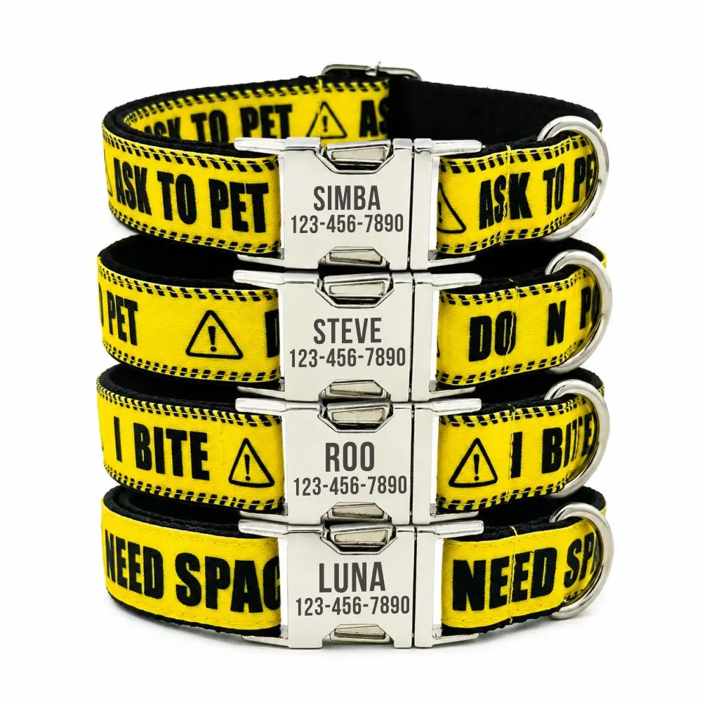 Personalisiertes Haustierhalsband-Warnschild „Do NOT PET I Need Space“, individuelles Namens-ID-Tag für Welpen und Katzen, verstellbare Basic-Hundehalsbänder