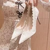 Women's Large Size High Heels Thin Heels Pointed Toe Lace High Heels Dress Banquet Mature New Spring Sexy Zapatillas De Mujer 1