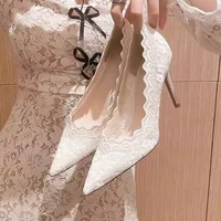 Women's Large Size High Heels Thin Heels Pointed Toe Lace High Heels Dress Banquet Mature New Spring Sexy Zapatillas De Mujer 1