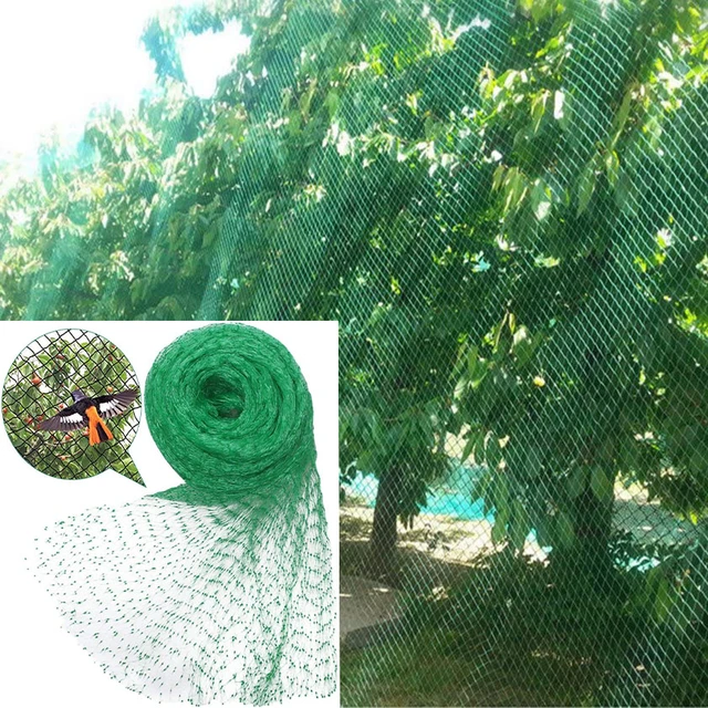 Anti Bird Netting for Garden Garden Netting Plants Barrier, Plant Netting  Mesh Net Protect Fruit Trees