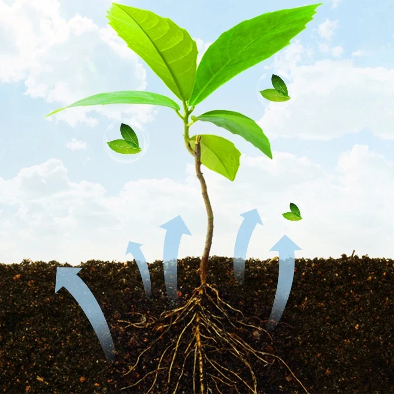 Rapid rooting powder fast rooting powder for extra fast root plant flower transplant fertilizer plant grow improve survi