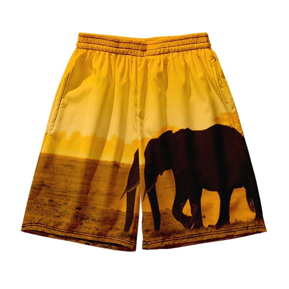 

Пляжные шорты Мужская и женская одежда 3D цифровая печать повседневные шорты модные трендовые штаны для пар 17