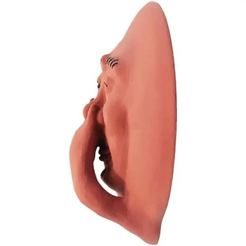 Funny Bathroom Humorous Smelly Face Sam Wall Decor Resin Toilet Wall Art Statue For Bathroom Bedroom 4