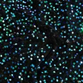 Multicolor black