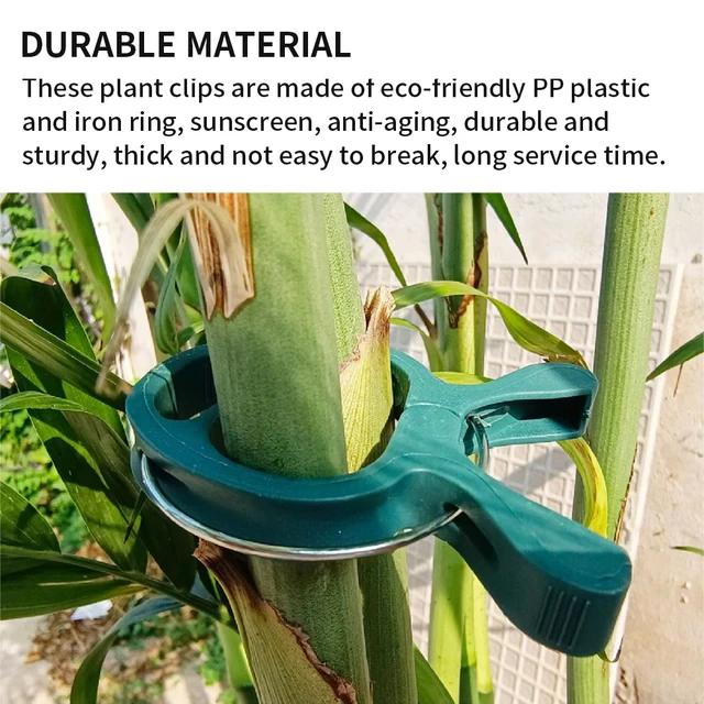 20 db Növényi Klipek Újrahasznosítható Időjárásálló Rozsda Nincs A Szár Hegymászó Paradicsom -Uborkának Dinnye - Image 2