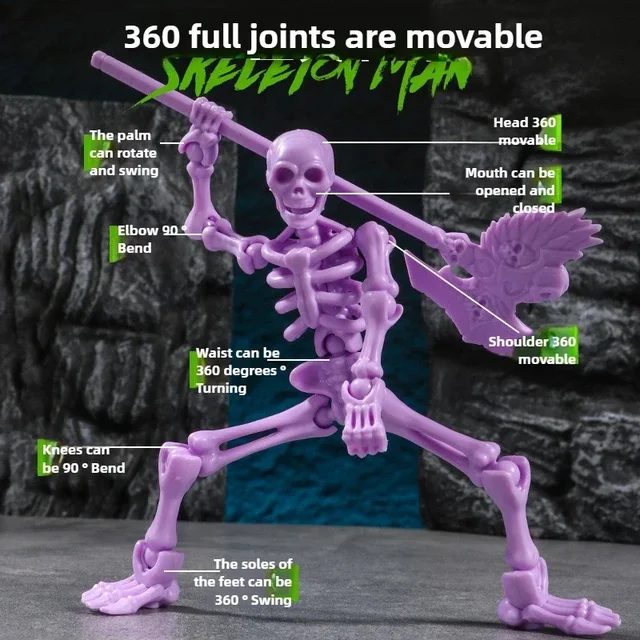 3D Skull Model Toy 3