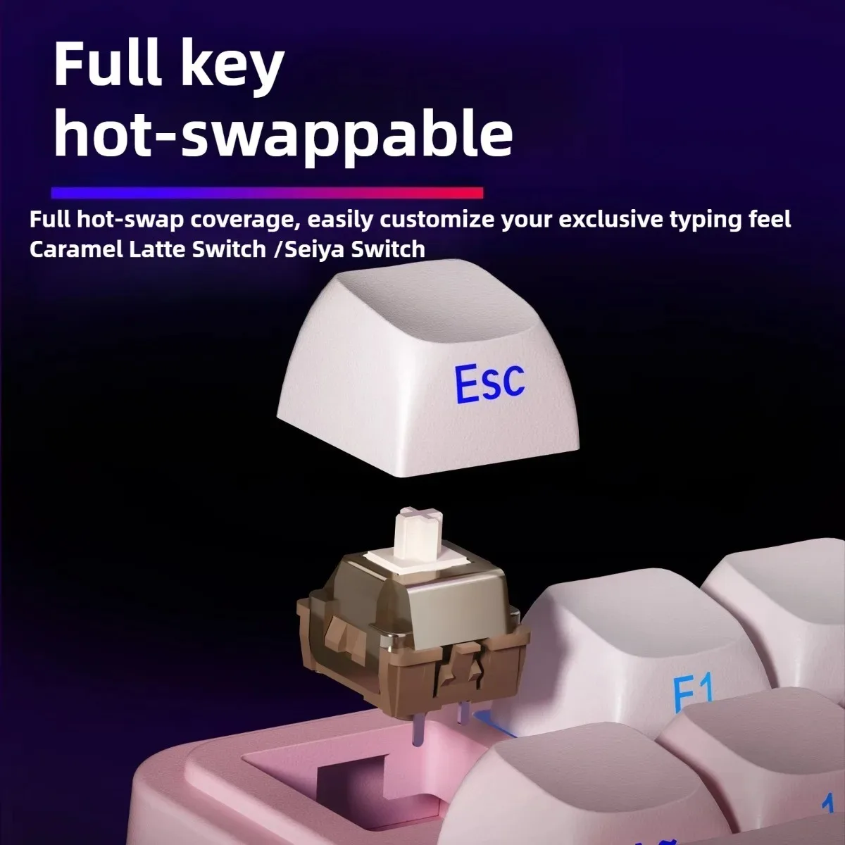 dsc-products