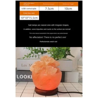 Himalayas Crystal Salt Lamp Crystal Salt Lamp Air Purifier Decorative Bedside Table Lamp Ornament 2