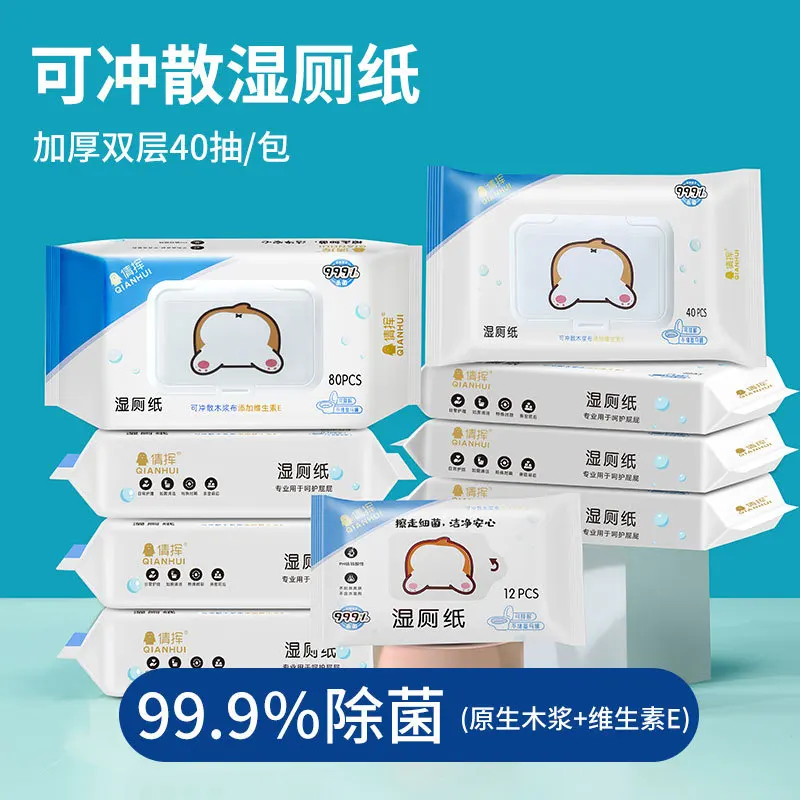 Wet Toilet Paper Disposable Toilet Wipes For Men And Women, Cleaning And Care Of Genitals Private Parts, Wiping Buttocks, An