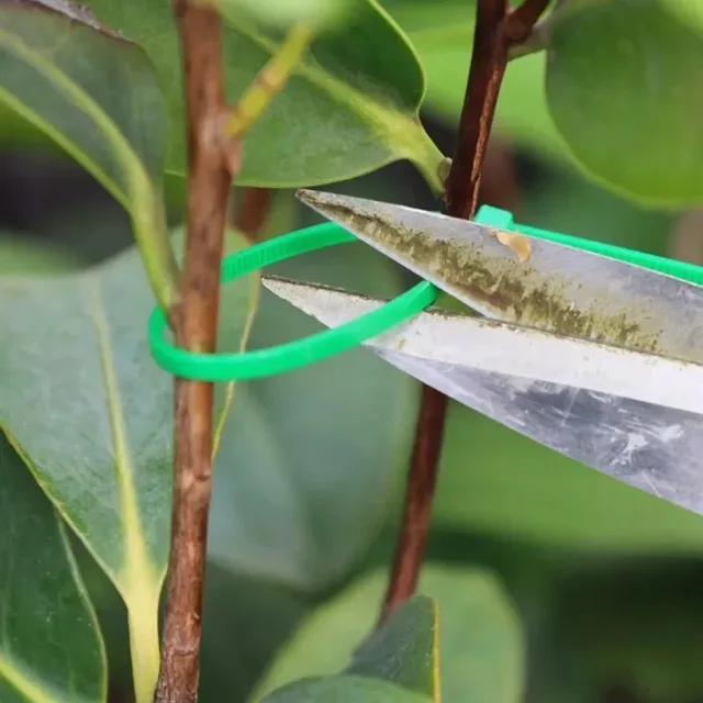 Green Heavy Duty Nylon Cable Ties Multi-Purpose Self-locking Plant Support Tie Home Garden Plant Care Fastener Ties Wholesale 4