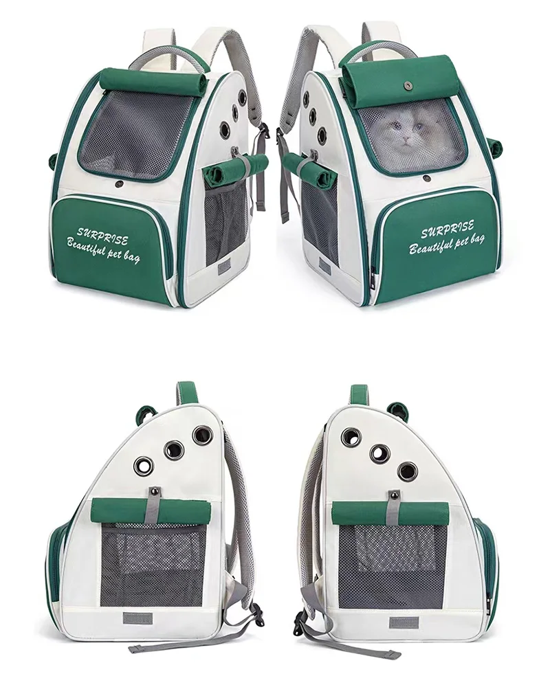 S2c6f8e6fe0fc43b2b2a407dc7bc038edd