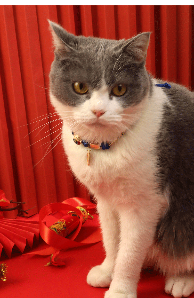 Title 15, Cat Dog Collar Bell Pendant for Kitten Puppy Pe...