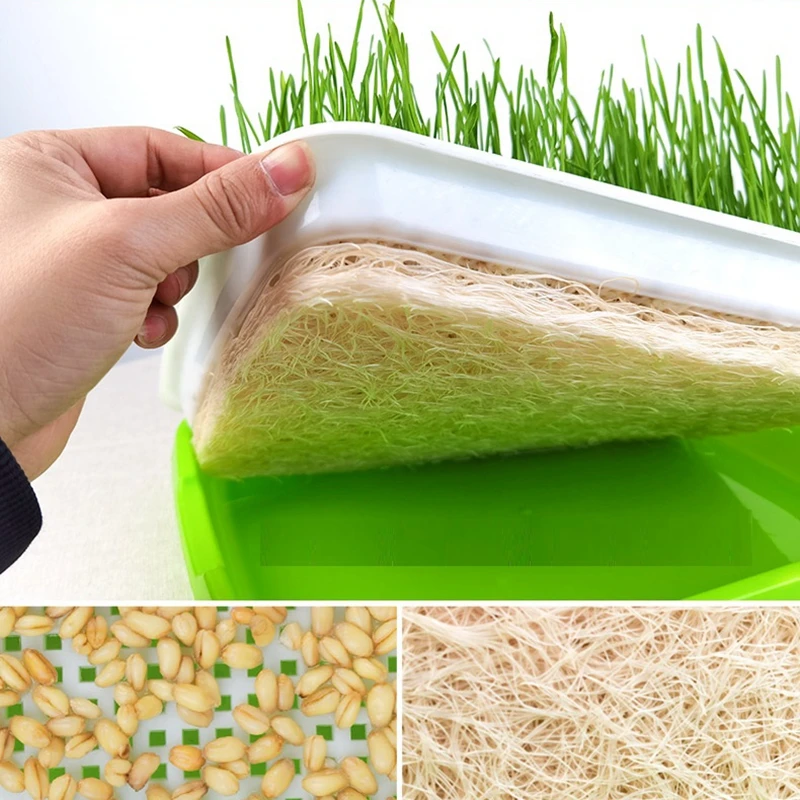 2 Sets Food Safety PP Hydroponic Planter Vegetable Beans Sprouting Seeding Pot Household Plants Germination Nursery Tray