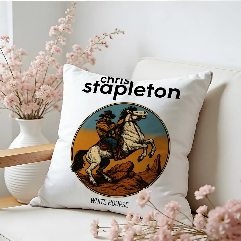 C-Chris Stapleton 음악 앨범 쿠션 커버 리넨 피부 친화적인 부드러운 장식 케이스 소파 홈 장식 베개 커버
