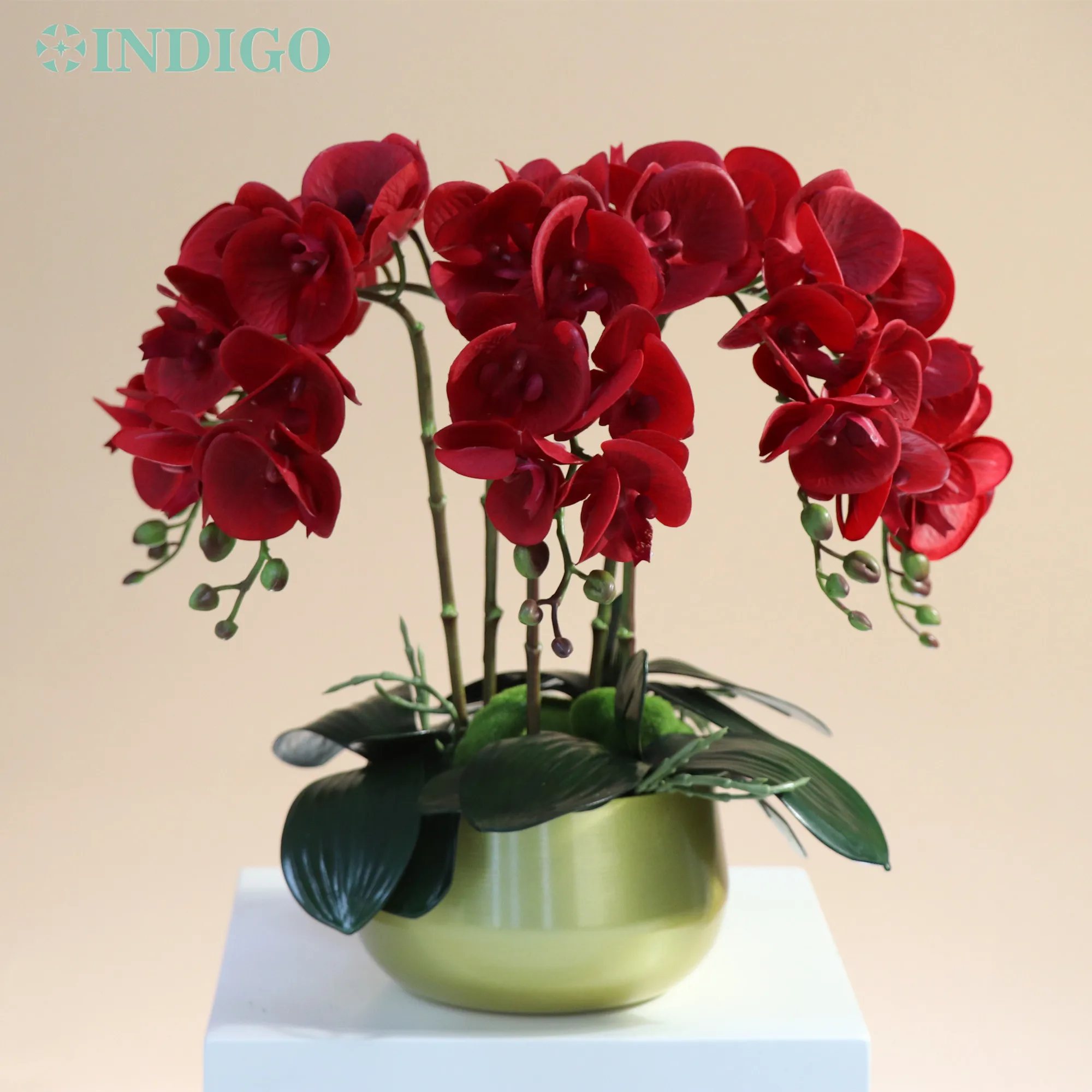 Jinsiy aloqa Sharka Blue