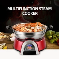 Multifunctional Steam Cooker Household Electric Steamer Hot Pot Automatic Kitchen Electric Steame Pot 1