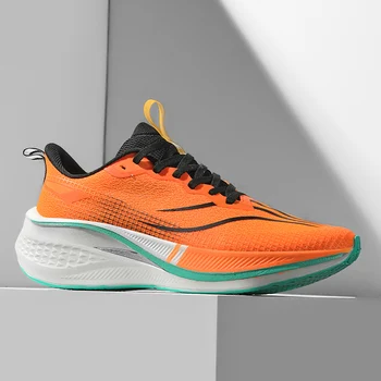 Sneakers Footwear