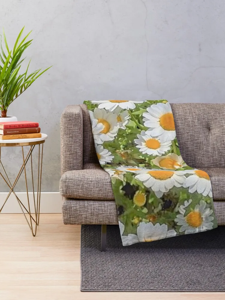 ������ �ʵ� ������ ���, �����̳� ���, �ö��� ���� ħ��, ���� ���