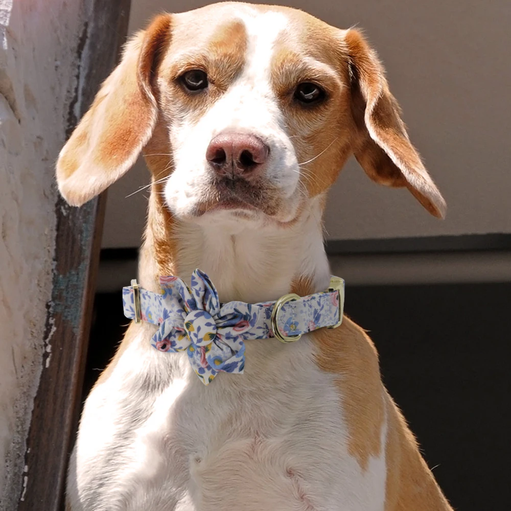 Printed Nylon Dog Collar dog collar,pet collar
