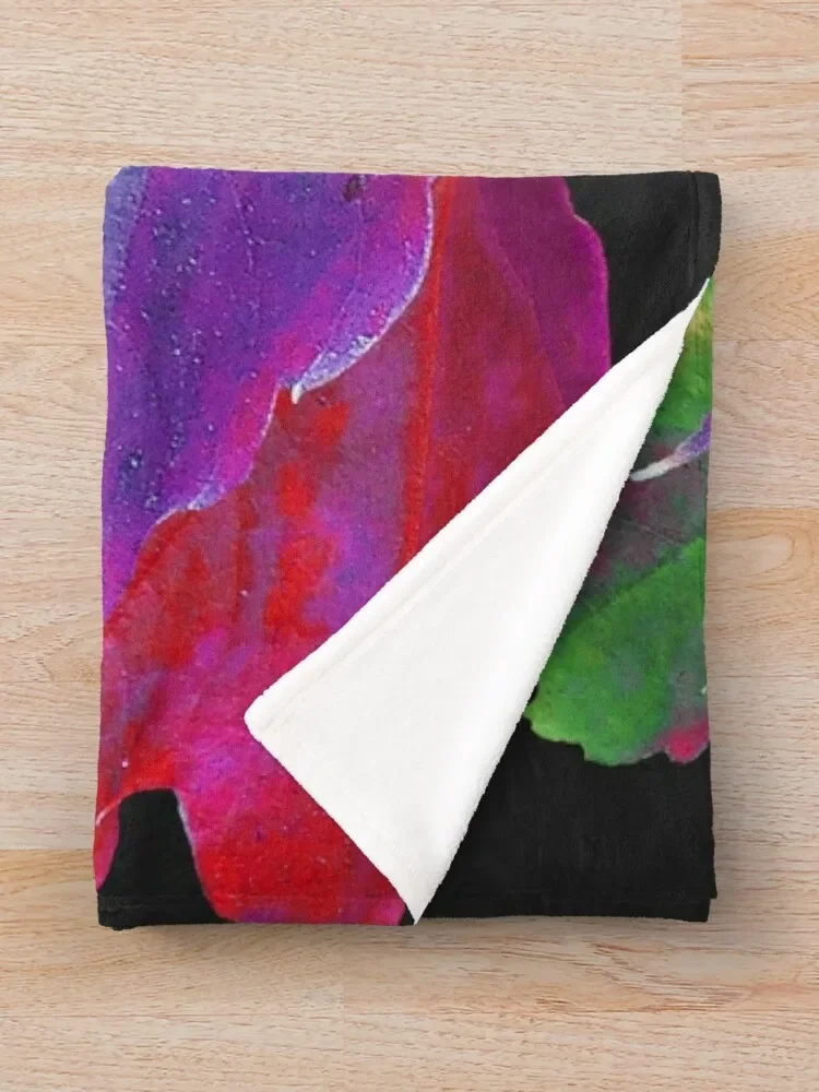 ������ ������ ������ ���, ��� ħ��, ���� ���� ���� ���