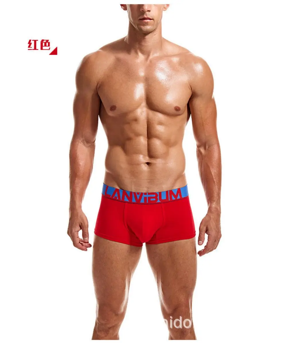 

Colorful Clear Rib Cotton Boxer Shorts Mens Underpants Bulge Pouch Boxer Briefs Male Solid Flat Corner Pants Underwear Lingerie