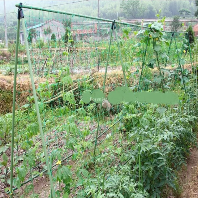 Kertésznövény Hegymászó Szőlőháló Dinnye És Gyümölcs Reggeli Dicsőség Szőlő Növényi Mászás Kötél Kerti Kiegészítők - Image 3