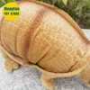 Realistic Armadillo High Fidelity Pangolin Plushie Tatouay Plush Toys Lifelike Animals Simulation Stuffed Doll Kawai Toy Gifts 6