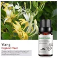Ylang