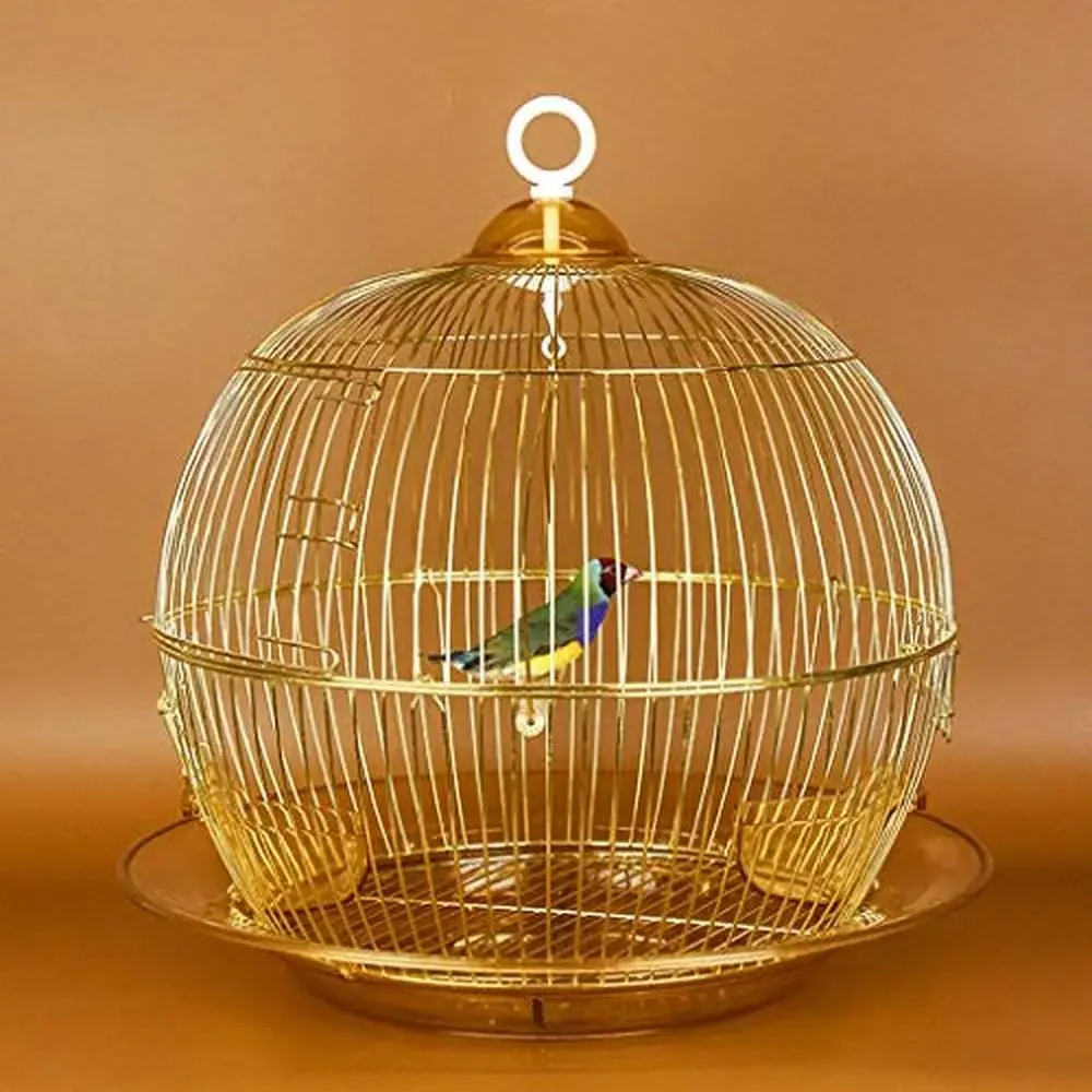 Decorative Bird Cage Parakeets Swing Drinking Fountain Elegant Golden Parrot Dove Grass Nest Stick Clothing Kit Flight Cage