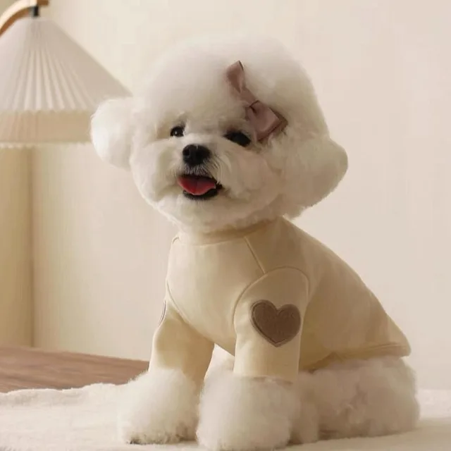 Love Embroidered Dog Sweatshirt 5