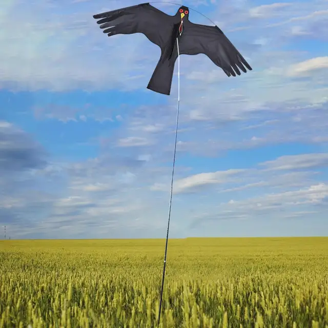 2022 Farm Madarak Ijesztő Hawk Repülõ Sárkány Szimulált Hawks Fluelflivective Ijesztõ Szélenergia Professzionális Galamb Scarer Készülék