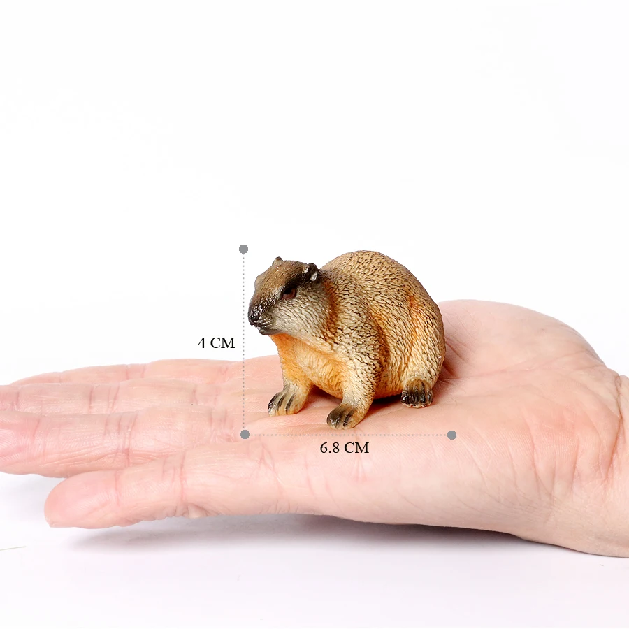 Realistische Nagetier Wilde Tiere Capybara Biber Maulwurf Erdferkel Maus Chipmunk Eichhörnchen Murmeltier Modell Figur Sammlung Spielzeug – Detail 4