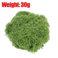 30g