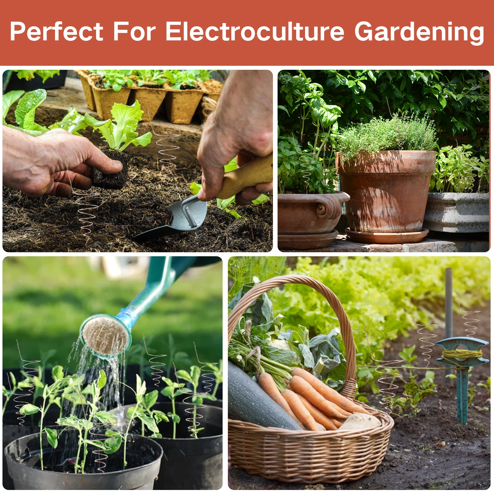 Kit Elettrocoltura Per Piante - 2 Bobine Bianche, Filo Di Rame 2,5m, 6 Bastoncini Di Legno, Per Crescita Ortaggi - 3