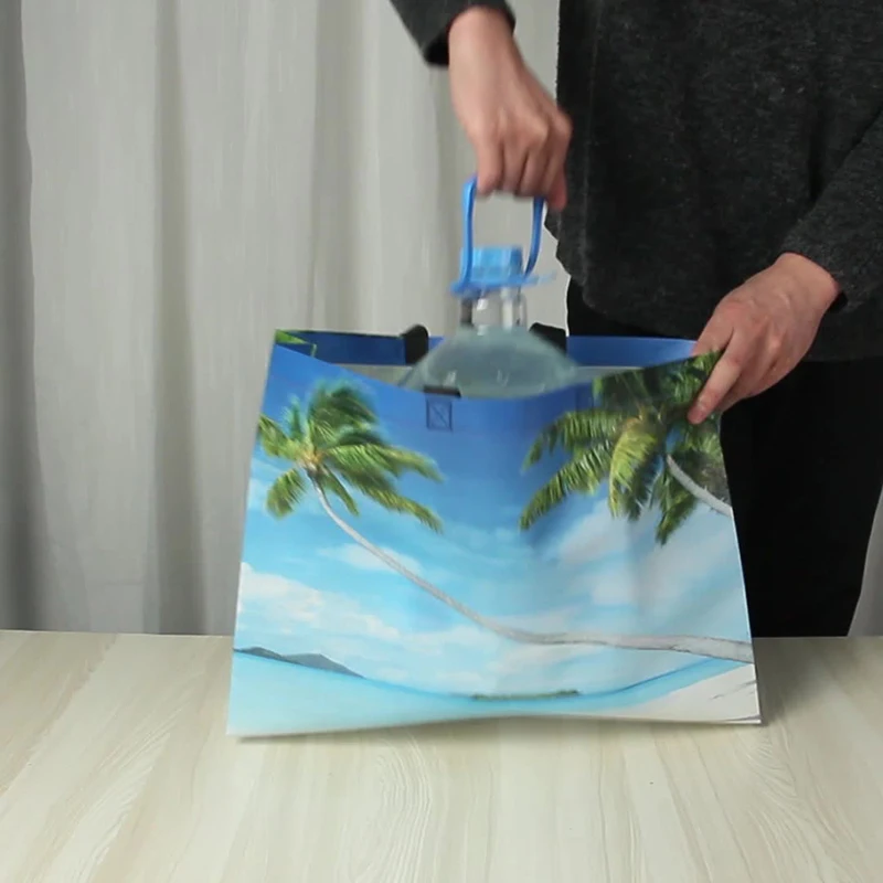 Coconut Nonwoven Shopping Bag Large Reusable Storage Bag Tote Waterproof Fabric Nonwoven Wholesale Foldable Shopping Bag 4